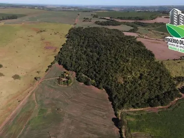 Imagem 14: 8,5 Alqueires a Venda em Cornélio Procópio- Br-369