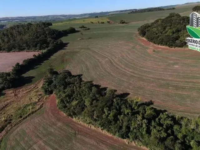 Imagem 2: 8,5 Alqueires a Venda em Cornélio Procópio- Br-369