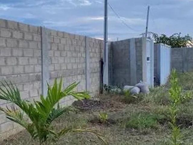 Imagem: Sítio com Bela Vista da Serra, Bomba, Diversas