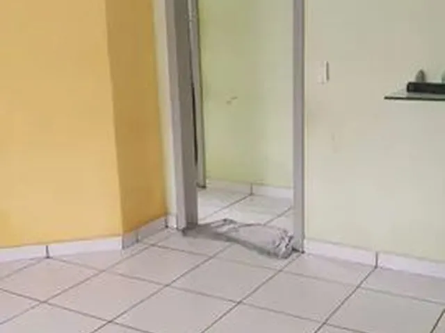 Imagem 4: Prédio com Loja Casa e Garagem Oportunidade