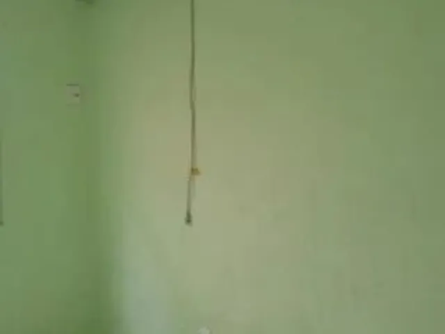 Imagem 16: Prédio com Loja Casa e Garagem Oportunidade