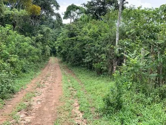 Imagem: Vendo Terreno 50X50 - Serra de Aratuba