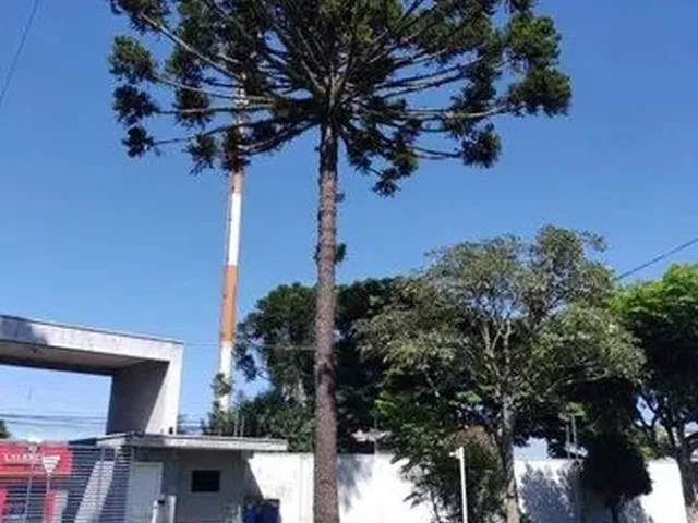 Imagem: Sobrado com 3 Dormitórios À Venda, 89