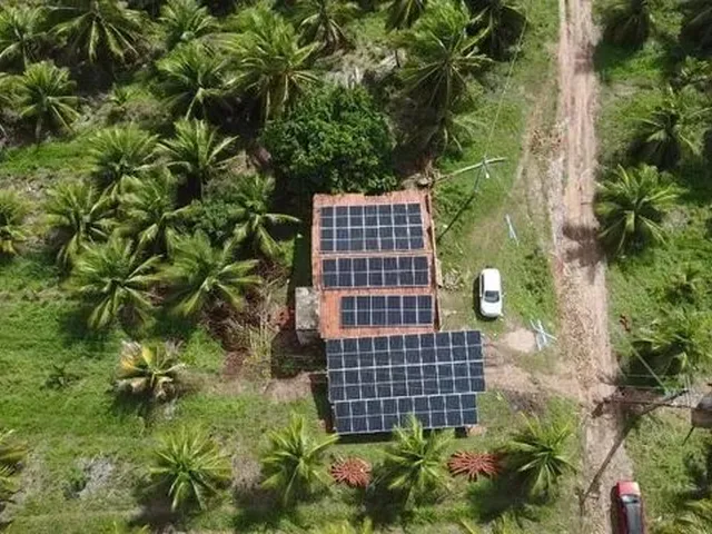 Imagem: Chácara com Produção de Cocos Anão
