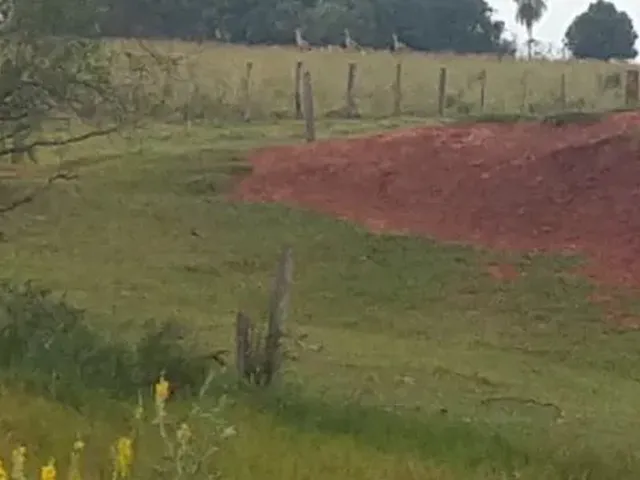 Imagem 1: 3.5 Alqueires com Benfeitorias em Itaquiraí