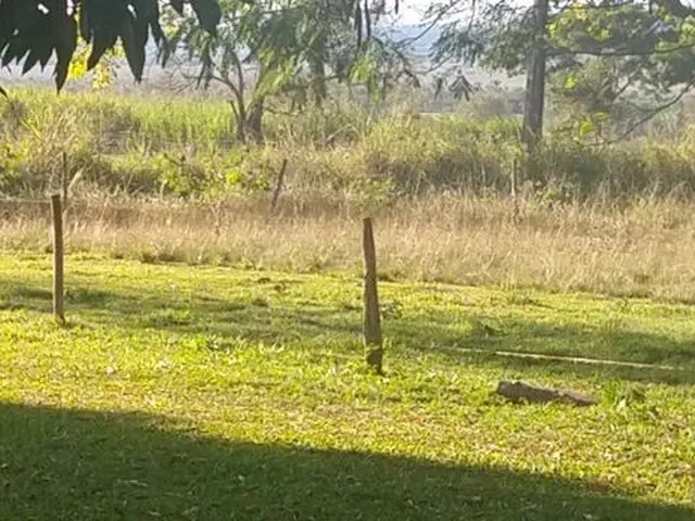 Imagem 4: 3.5 Alqueires com Benfeitorias em Itaquiraí
