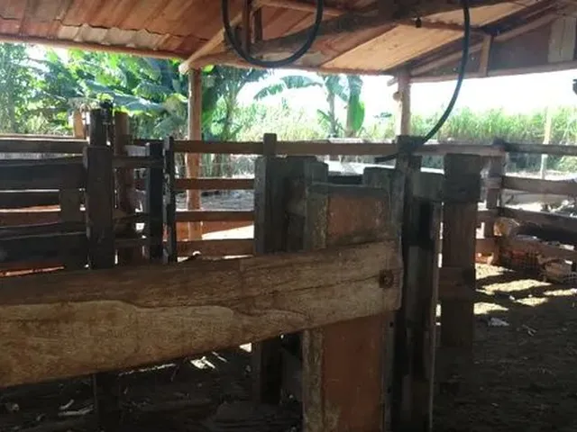 Imagem 2: 3.5 Alqueires com Benfeitorias em Itaquiraí