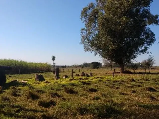 Imagem 9: 3.5 Alqueires com Benfeitorias em Itaquiraí
