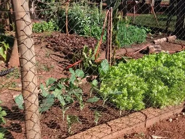 Imagem 11: 3.5 Alqueires com Benfeitorias em Itaquiraí