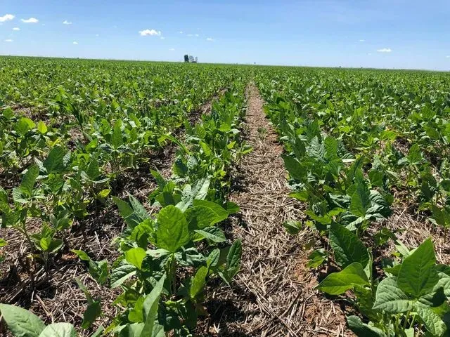 Imagem: Vendo Fazenda na Região Sudeste de Minas