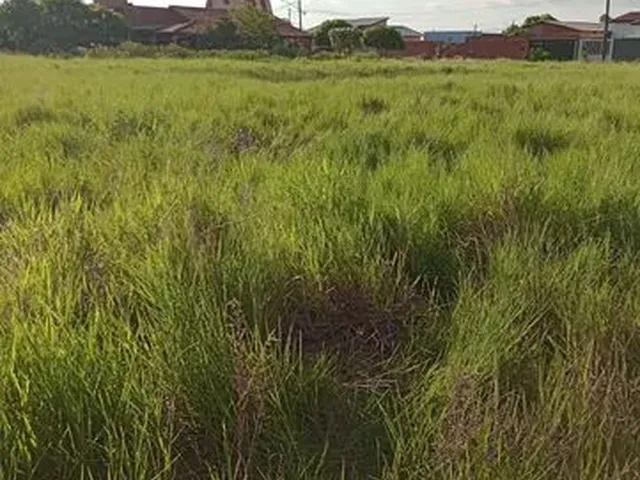 Imagem: O terreno possui 452m² de Área e está localizado em