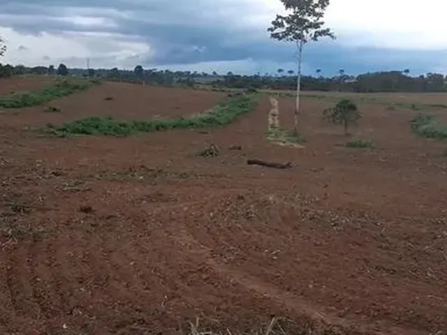 Imagem: A chácara está localizado em Linha Bonita, Senador