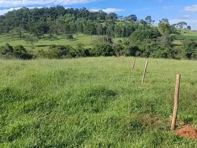 Imagem: Chácaras de Mil Mt Cercada Energia em Damolandia