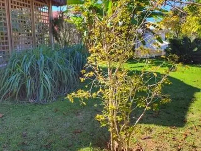 Imagem 12: Casa com 5 Dormitórios Terreno de 1400M² em Condomínio Fechado - Cacupé