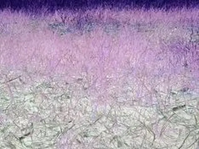 Imagem: Sitio 1.5 Harquero