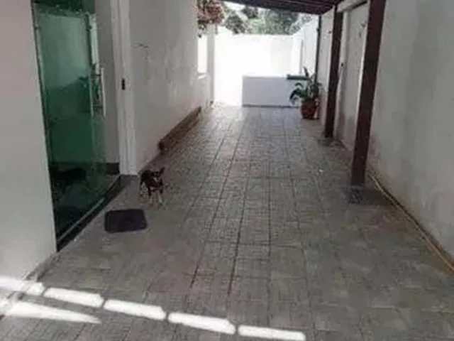 Imagem: Vendo Esse Imóvel em Maria Ortiz - Vitória