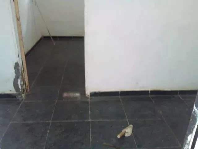 Imagem 5: Aluga-Apartamento
