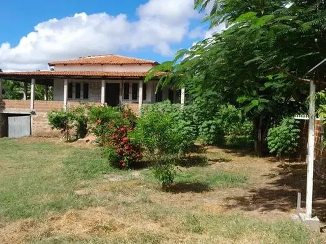 Imagem: Lindo Sítio a Venda em Macaíba 350 Mil