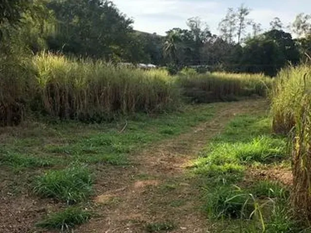 Imagem 2: Propriedade 15 Alqueires em Muriaé Sentido Boa Família