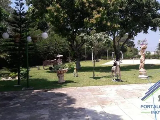 Imagem 6: Chácara com 3 Dormitórios À Venda, 53372 M² por R$ 999.000,00 - Centro