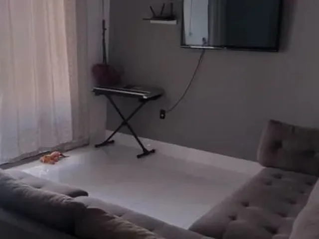 Imagem 4: Casa Casa com 2 dormitórios