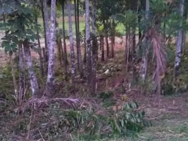 Imagem 1: Terreno Morretes P/ Formação de Chácara Em
