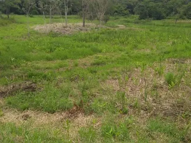 Imagem 5: Terreno Morretes P/ Formação de Chácara Em