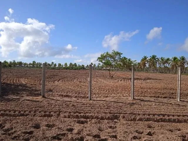Imagem: Oportunidade - Vilaggio dos Coqueiros