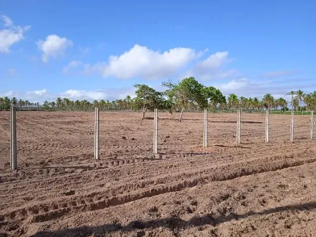 Imagem 4: Oportunidade - Vilaggio dos Coqueiros