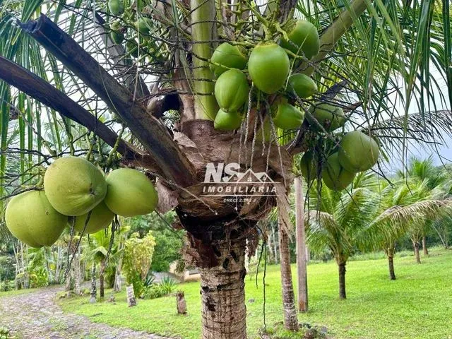 Imagem 7: Fazenda Boa Esperança