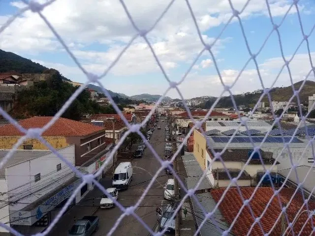 Imagem 7: Apto Amplo Av. Champagnat