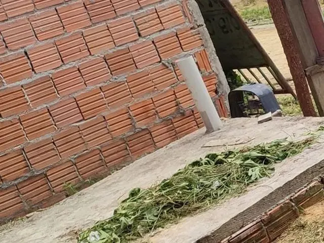 Imagem 1: Casa com Terreno