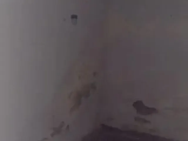 Imagem 6: Casa em Campina Grande no Centenário