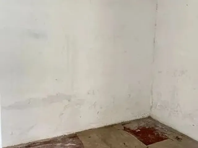 Imagem 8: Casa para Aluguel Próximo Ao Shopping