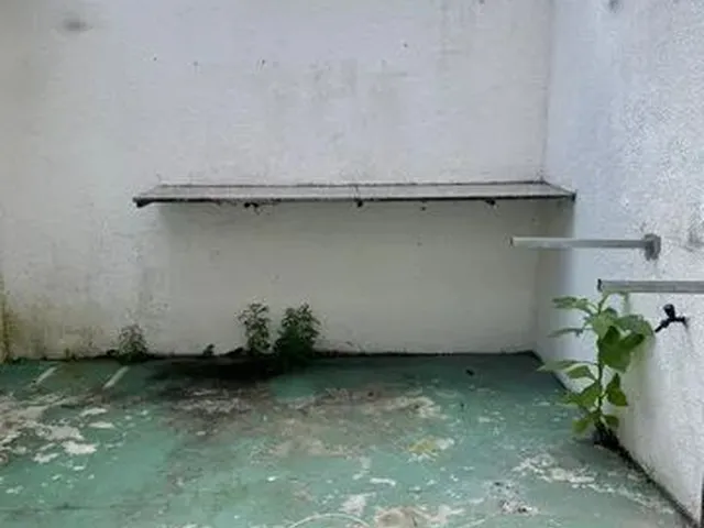 Imagem 13: Casa para Aluguel Próximo Ao Shopping