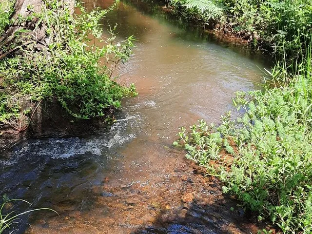 Imagem: Vendo Excelente Sitio em Jaguaripe