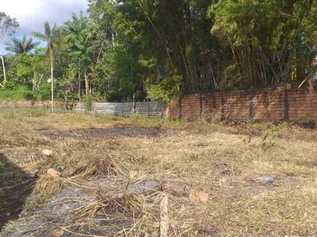 Imagem 3: Terreno 1.260 M² - Documentação Completa- a 3 Km do Aeroporto Rua da Polinox