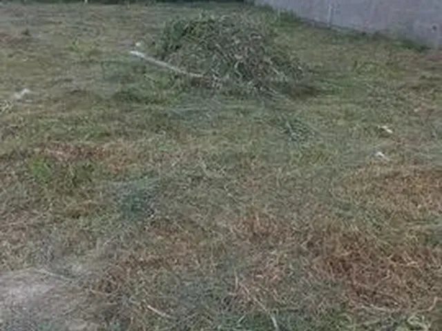 Imagem 4: Ótimo Terreno no Loteamento Bosque de São José III