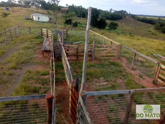 Imagem: Fazenda 182 Hectares em Camapua/Ms