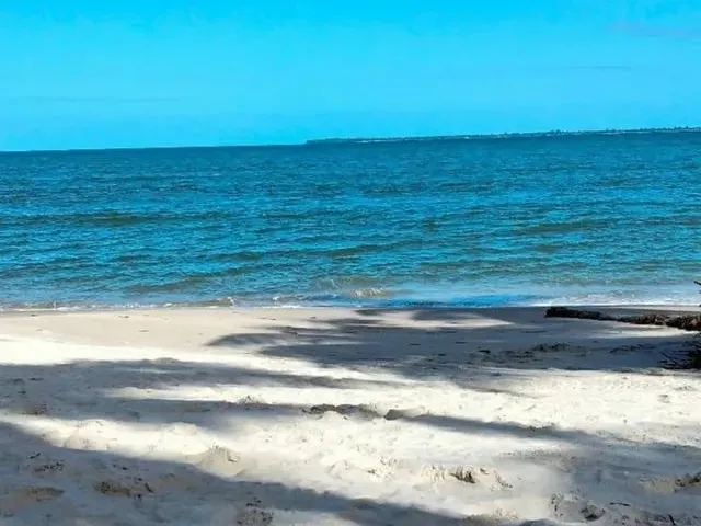 Imagem: Vendo Terreno Ilha do Contrato ( Igrapiuna