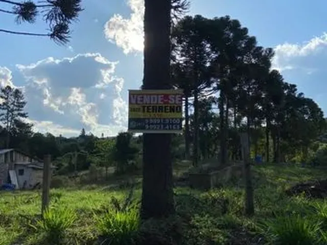 Imagem: Terreno Excelente 1570 Mts!