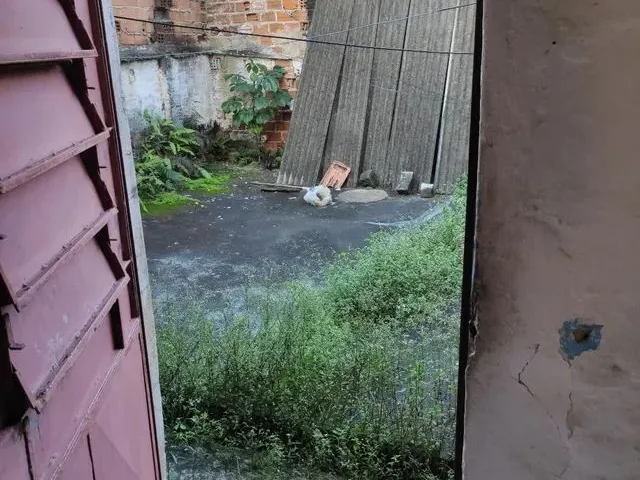 Imagem 16: Vende-Se Uma Casa no Bairro do Engenho do Meio