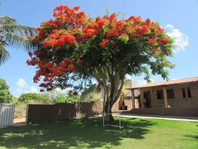 Imagem: Casa para Venda Tem 130 Metros Quadrados