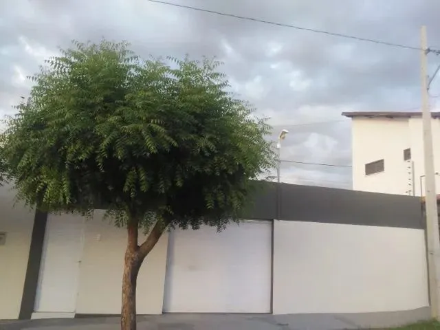 Imagem 15: Casa 03 Quartos em Sobral. Pechincha: Só 230 Mil. Escritura Pública