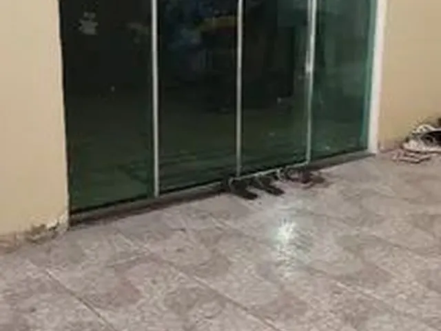 Imagem 1: Alugo Apartamento no São José 3