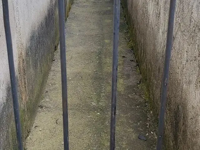 Imagem 1: Casa pra Aluga em Colombo