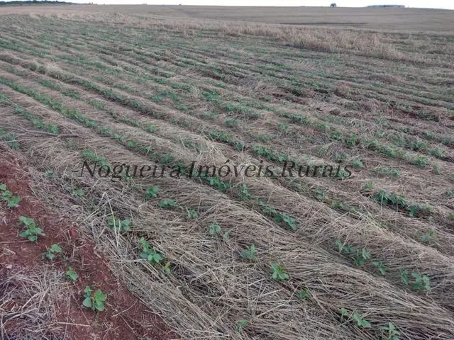 Imagem: Fazenda com 1.115 Alqueires com Represa