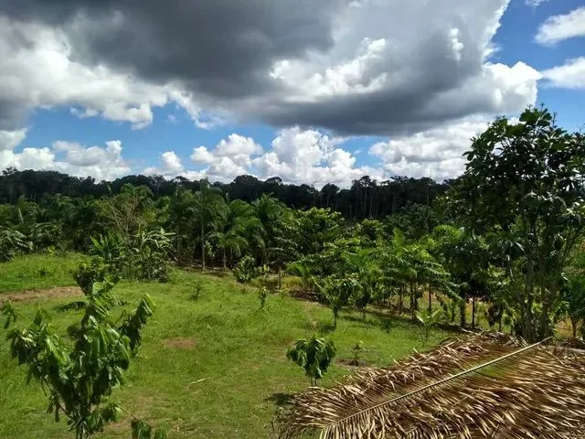 Imagem: Terréno pra Sítio 30 X 1000 Estrada de