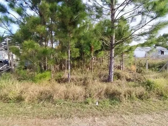 Imagem: Negócio de Ocasião. 2 Terrenos em Bella