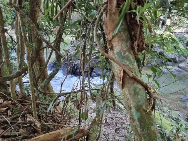 Imagem: Venda de Terreno Sul de Mg